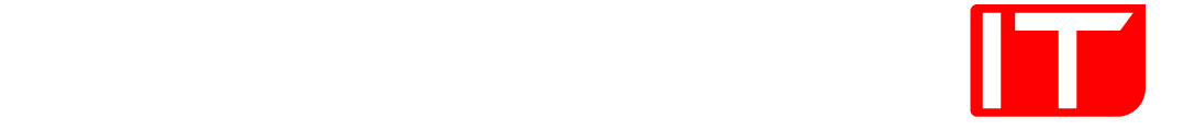 Seniors IT Logo